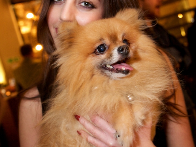 TLCEvents (96)